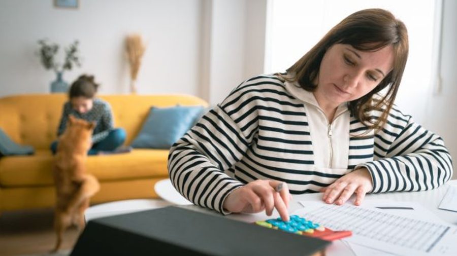 Ucraina taxează platformele online, iar în Moldova milionarii plâng după clienți fugiți la Temu și AliExpress