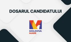 Dosarul Candidatului: Partidul Moldova Mare