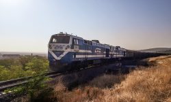 Exporturile de cereale, în pericol: fermierii pierd 200–400 lei/tonă după decizia CFM