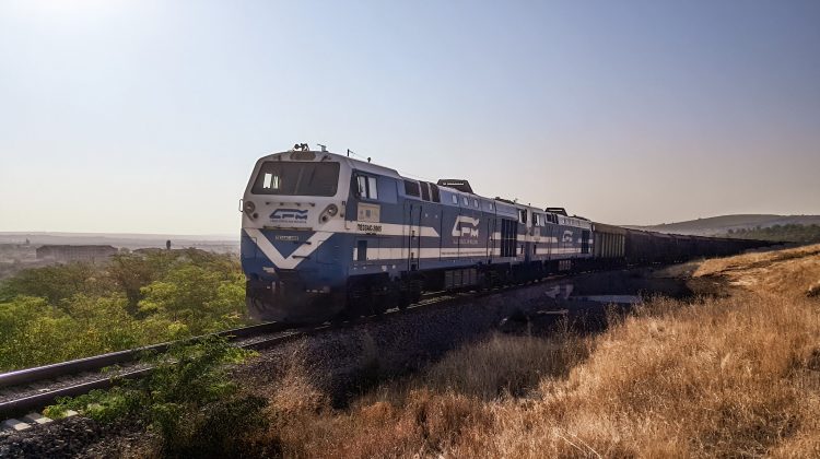 Exporturile de cereale, în pericol: fermierii pierd 200–400 lei/tonă după decizia CFM