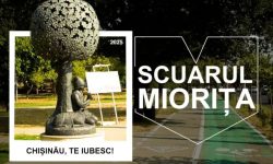 Scuarul Miorița – din paragină într-un proiect modern și verde