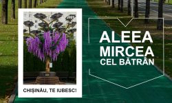 Aleea „Mircea cel Bătrân” – cel mai popular loc din sectorul Ciocana