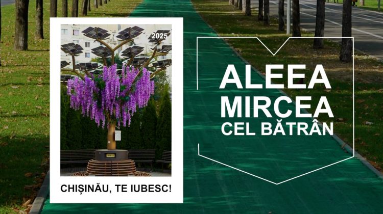 Aleea „Mircea cel Bătrân” – cel mai popular loc din sectorul Ciocana