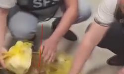 Rețea celebră de restaurante, acuzată de spălare de bani – despre cine este vorba?