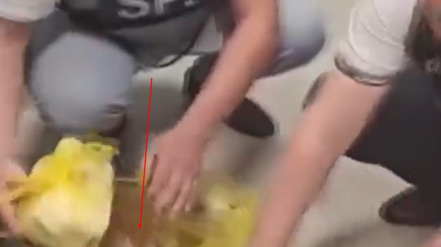 Rețea celebră de restaurante, acuzată de spălare de bani – despre cine este vorba?