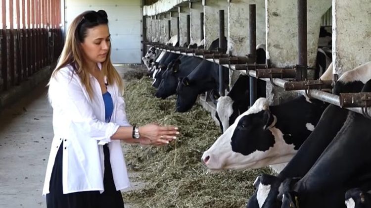 Republica Moldova – țara fără lapte propriu! Catlabuga: 62% din materia primă e importată din Ucraina