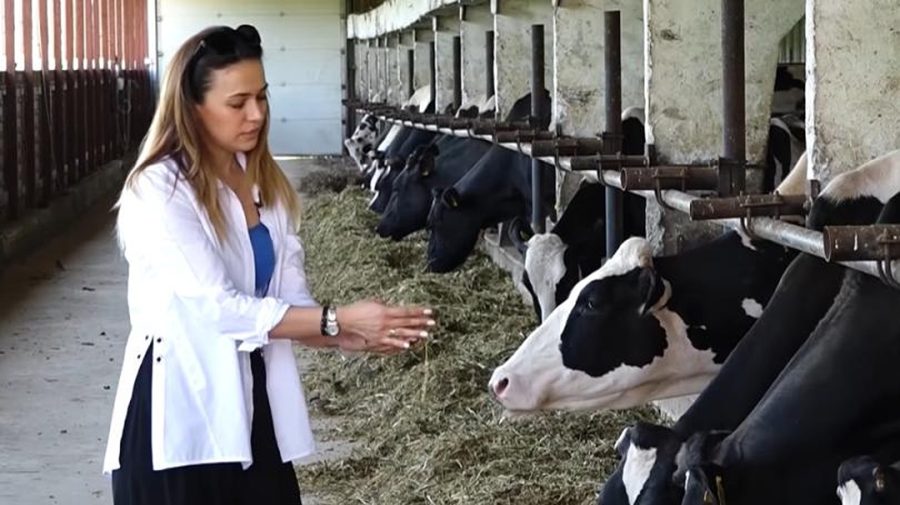 Republica Moldova – țara fără lapte propriu! Catlabuga: 62% din materia primă e importată din Ucraina