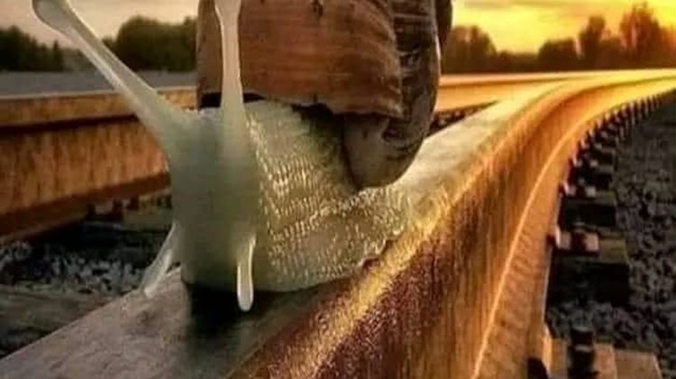 De la avion la gară mai repede decât vine bagajul – promisiunea lui Bolea pentru Paștele 2026