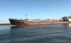 Lovitură dublă pentru fermieri! Turcia a blocat exporturile, ploile au înecat recolta