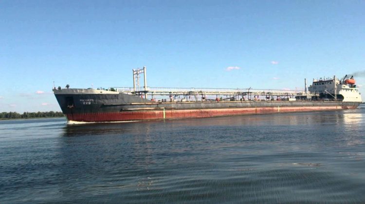 Lovitură dublă pentru fermieri! Turcia a blocat exporturile, ploile au înecat recolta